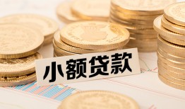 东莞应急空放-东莞应急个人短借-东莞应急身份证小额贷款