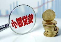 东莞应急哪里可以小额贷款-东莞应急哪里有民间借贷-东莞应急民间短期私借借款