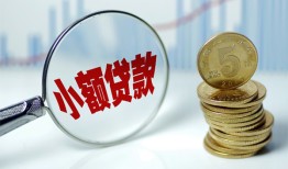 东莞应急哪里可以小额贷款-东莞应急哪里有民间借贷-东莞应急民间短期私借借款